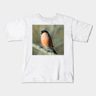 Male bullfinch Kids T-Shirt